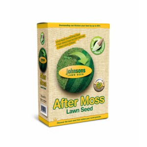 Moss Replacement Grass seed