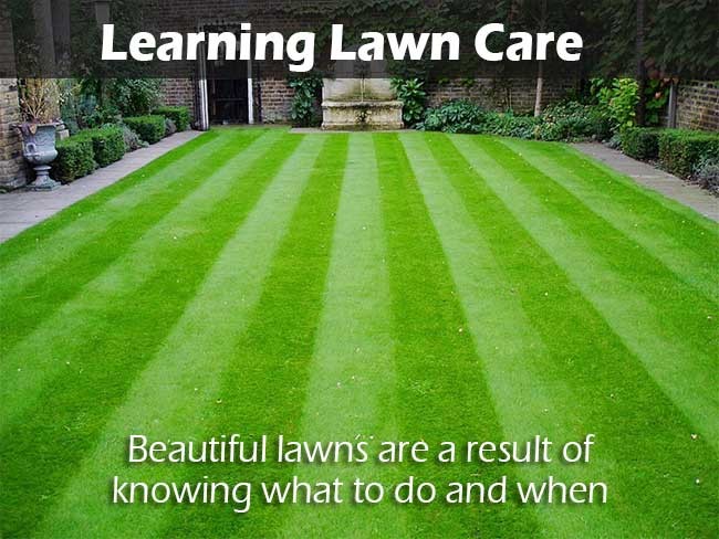 Learning Lawn Care Masterclass