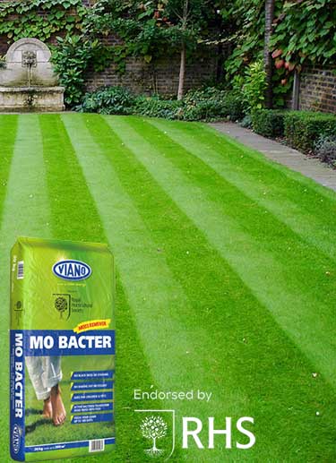 MO Bacter Organic Lawn Fertiliser