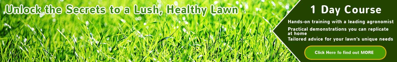 Learning Lawn care - learn from an expert