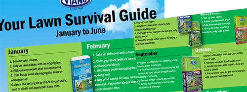 Your Lawn Survival Guide
