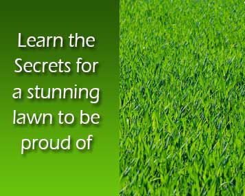 Learning Lawn Care