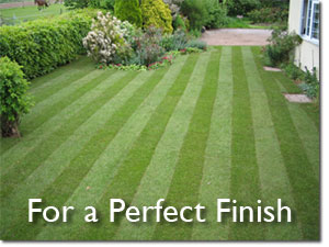 Perfect Finish for your Lawn